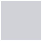 Light grey swatch